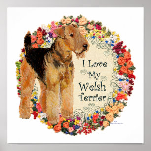 Liebe meinen Welsh Terrier Poster