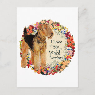 Liebe meinen Welsh Terrier Postkarte