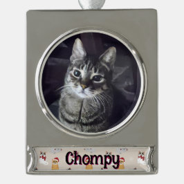 Liebe meiner Katzen Banner-Ornament Silber
