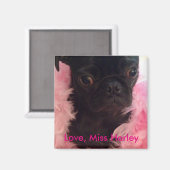 Liebe, Miss Harley Magnet (Vorderseite/Rückseite)