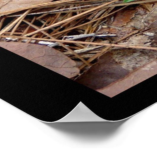 Liebe mit Nature Moss Heart Poster (Ecke)