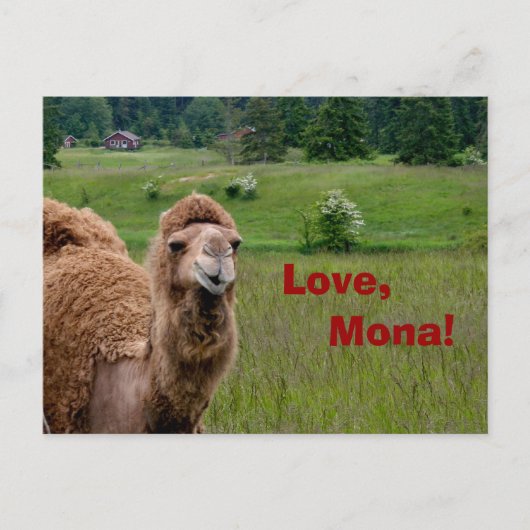 Liebe, Mona-Postkarte Postkarte (Vorderseite)