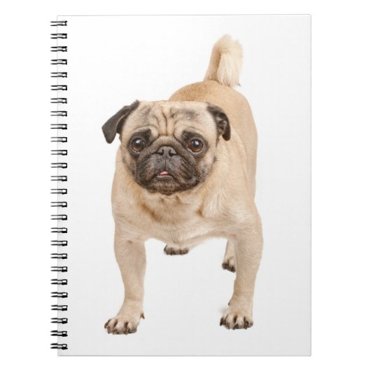 Liebe Mops Welpen-DockingNotebook / Journal Notizblock (Vorderseite)