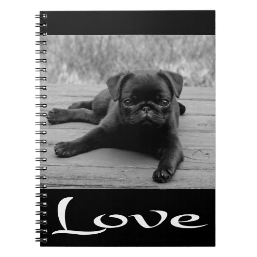 Liebe Mops Welpen-Dose-Black-Notebook / Journal Notizblock (Vorderseite)