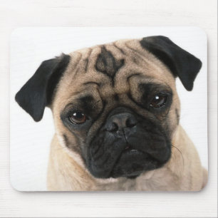 Liebe Mops Welpen Hund mit Herzmuskel Mousepad