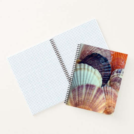 Liebe Muscheln SpiralNotebook Notizblock (Innenseite)