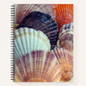 Liebe Muscheln SpiralNotebook Notizblock (Vorderseite)