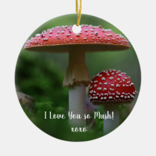 Liebe Mushrooms Ornament Runde