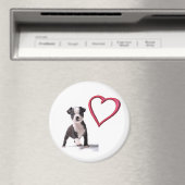 Liebe My Boston Puppy Dog Magnet (In Situ (Geschirrspüler))