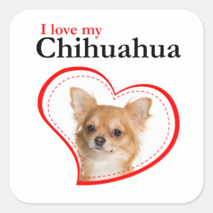 Liebe My Chihuahua Stickers