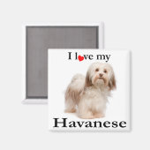 Liebe My Havanese Magnet (Vorderseite/Rückseite)