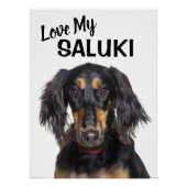 Liebe My Saluki Portrait Poster (Vorderseite)