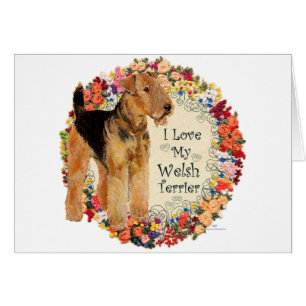 Liebe My Welsh Terrier