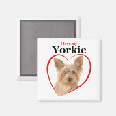 Liebe My Yorkie Magnet (Vorderseite/Rückseite)