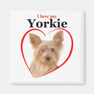 Liebe My Yorkie Magnet