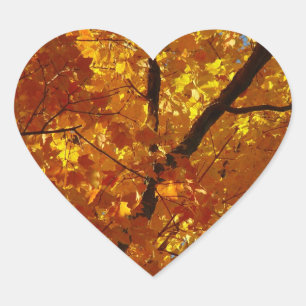 Liebe Naturschutzaufkleber - Fallfolien Herz-Aufkleber