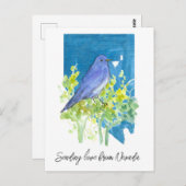 Liebe Nevada Bluebird Sagebrush Postkarte (Vorne/Hinten)