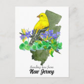 Liebe New Jersey Goldfinch Violets senden Postkarte (Vorderseite)