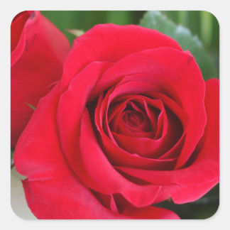 Liebe nicht vergessen quadratischer aufkleber