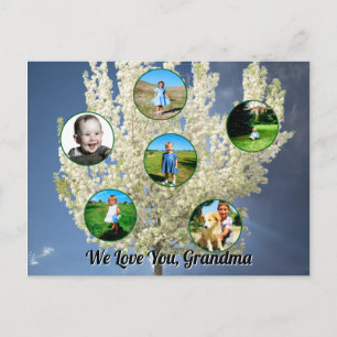Liebe Oma Weißer blühender Baum Sechs Fotos  Postkarte