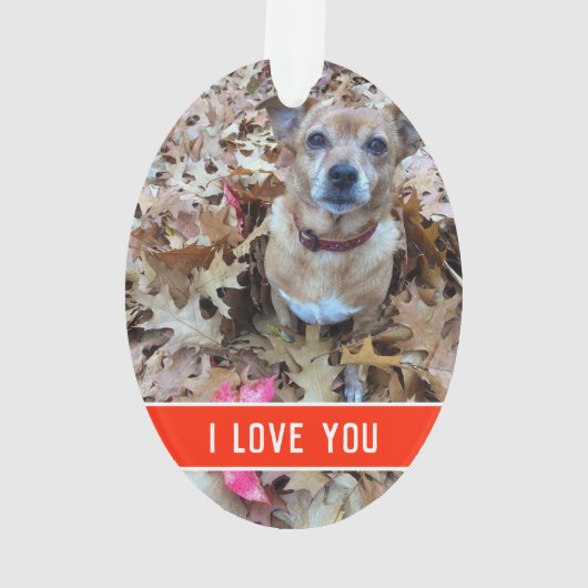 Liebe Ornament (Rückseite)