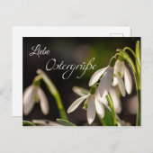 Liebe Ostergrüße aus dem Briefkasten Postkarte (Vorne/Hinten)