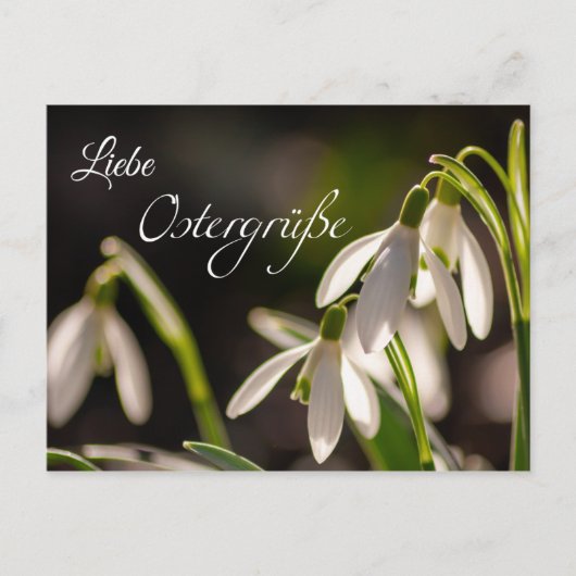 Liebe Ostergrüße aus dem Briefkasten Postkarte (Vorderseite)