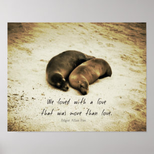 Liebe Paar romantische Zitat Seelöwen am Strand Poster
