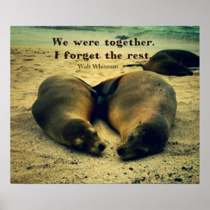 Liebe Pärchen zitieren Seelöwen am Strand Poster