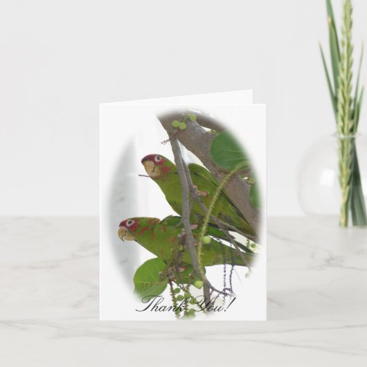 Liebe Parrots Dankeskarte (Vorderseite)