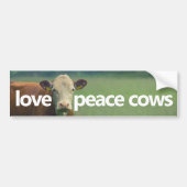 Liebe Peace Cows Autoaufkleber (Vorne)