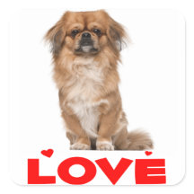 Liebe Pekingese Welpe Hund Rotes Herz Sticker / Si