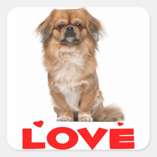 Liebe Pekingese Welpe Hund Rotes Herz Sticker / Si (Vorderseite)