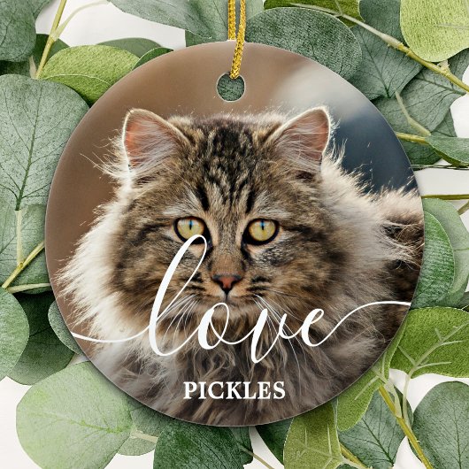 Liebe Personalisiert 2 Foto Cat Pet Memorial Keramik Ornament