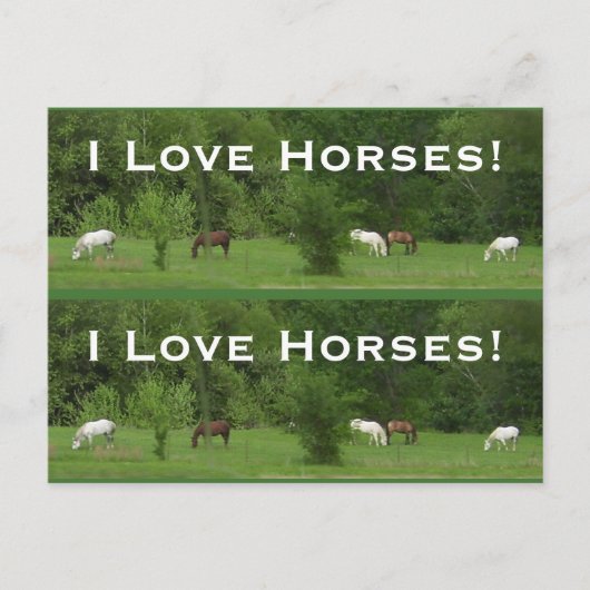 Liebe Pferde! Bookmarkers - Anpassen! Postkarte (Vorderseite)