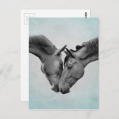 Liebe Pferde Postkarte (Vorne/Hinten)