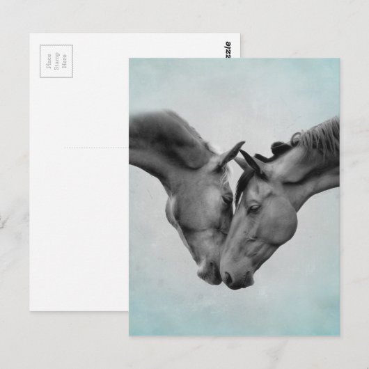 Liebe Pferde Postkarte (Vorne/Hinten)