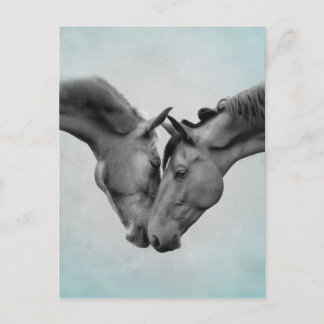 Liebe Pferde Postkarte