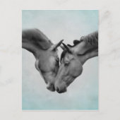 Liebe Pferde Postkarte (Vorderseite)