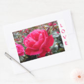 Liebe Pink Romance Rose Stickers (Umschlag)