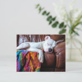 Liebe Pitbull Hund Schlafen auf dem Sofa Postkarte (Stehend Vorderseite)