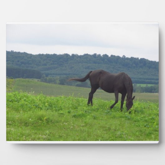 Liebe Plaque Fotoplatte (Vorderseite)