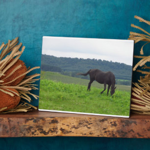 Liebe Plaque Fotoplatte