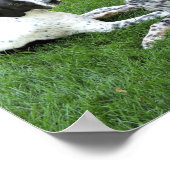 Liebe Pointer und Setter Poster (Ecke)