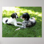 Liebe Pointer und Setter Poster (Vorne)