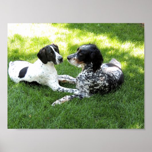 Liebe Pointer und Setter Poster (Vorne)