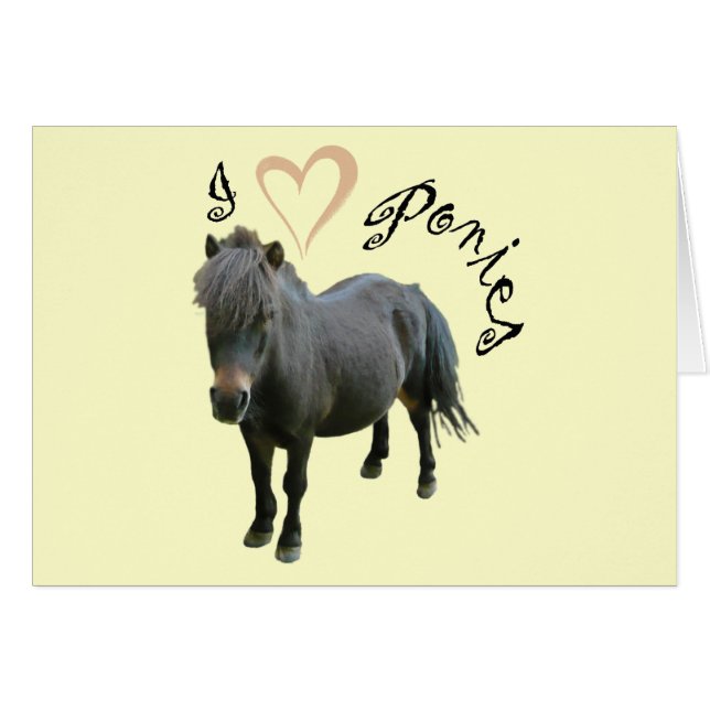 Liebe Ponies (Vorderseite (Horizontal))