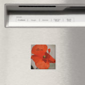 Liebe Poppy Magnet (In Situ (Geschirrspüler))
