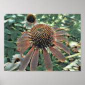 Liebe Poster (Vorne)