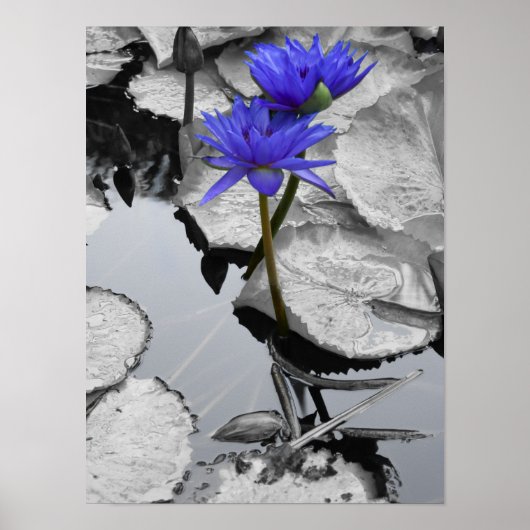 Liebe Poster (Vorne)